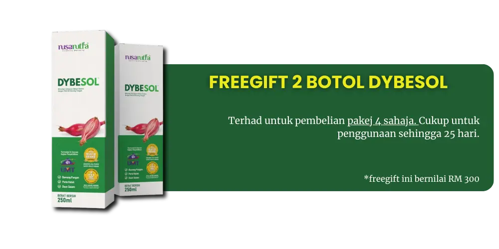 Pakej Dybesol